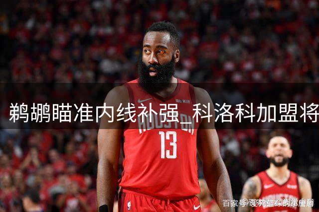 鹈鹕瞄准内线补强 科洛科加盟将直面旧将竞争